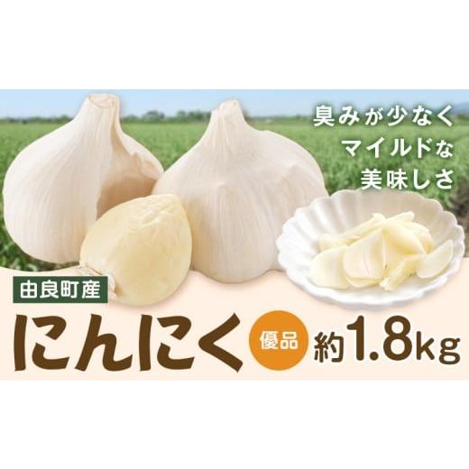 ふるさと納税 野菜類 和歌山県 日高町 由良町産 にんにく 優品 約1.8kg[4月下旬頃より出荷] スマイル 和歌山県 日高町 ガーリック 優品 約1.8kg