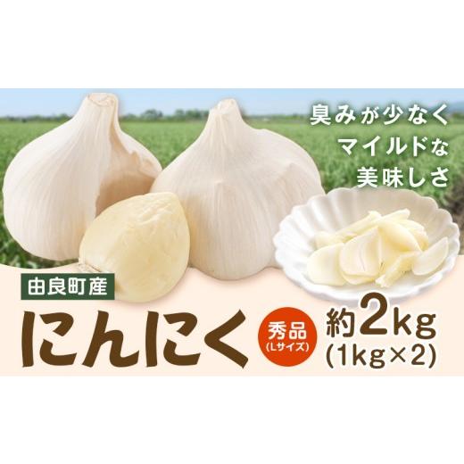 ふるさと納税 野菜類 和歌山県 日高町 由良町産 にんにく 秀品 Lサイズ 約2kg (1kg×2)[4月下旬頃より出荷] スマイル 和歌山県 日高町 ガーリック 秀品 L…