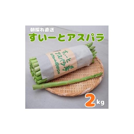 ふるさと納税 野菜類 アスパラガス 広島県 東広島市 朝採れ直送 すいーとアスパラ 2kg