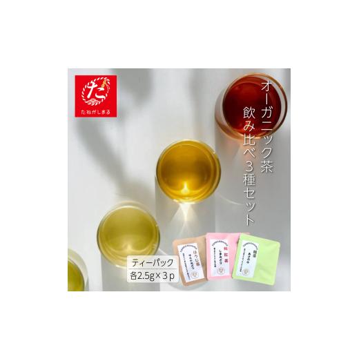 ふるさと納税 お茶類 緑茶(茶葉・ティーバッグ) 鹿児島県 西之表市 ＼先行予約/ たねがしまる4000 種子島 ティーパック 3点セット NFN948 100pt // オー…