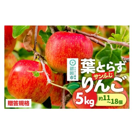 ふるさと納税 りんご 群馬県 沼田市 12月上旬から12月中旬に発送 贈答規格 葉とらず サンふじりんご 5kg(約11〜18個) 蜜入り 永井農園 りんご リンゴ 林檎 …
