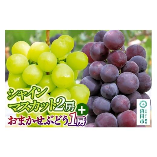 ふるさと納税 果物類 ぶどう 群馬県 沼田市 9月中旬から10月末に発送 シャインマスカット 2房 と おまかせぶどう 1房 セット (計約1.3kg〜2kg) 詰め合わせ …