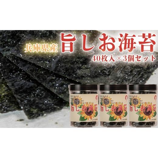 ふるさと納税 乾物 のり 兵庫県 佐用町 兵庫県産旨しお海苔 40枚入×3個セット