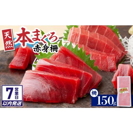 ふるさと納税 マグロ 神奈川県 三浦市 7営業日以内に発送 神奈川県漁連 天然本マグロ 赤身サク M077-012-01-sp 入金確認後、7営業日以内に発送予定