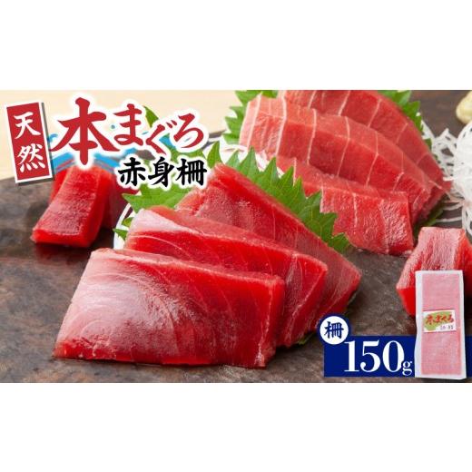 ふるさと納税 マグロ 神奈川県 三浦市 神奈川県漁連 天然本マグロ 赤身サク 5月お届け M077-012-01-05 5月お届け