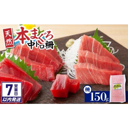 ふるさと納税 マグロ 神奈川県 三浦市 7営業日以内に発送 神奈川県漁連 天然本マグロ 中トロサク M077-012-02-sp 入金確認後、7営業日以内に発送予定