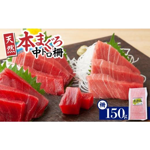 ふるさと納税 マグロ 神奈川県 三浦市 神奈川県漁連 天然本マグロ 中トロサク 5月お届け M077-012-02-05 5月お届け