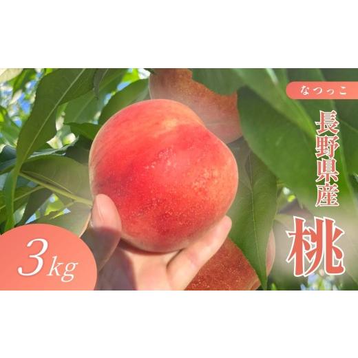 ふるさと納税 もも 長野県 飯田市 長野県産 桃 なつっこ 約3kg 2026年8月発送 | 果物 くだもの フルーツ 桃 もも なつっこ 長野県 信州 南信州 飯田市