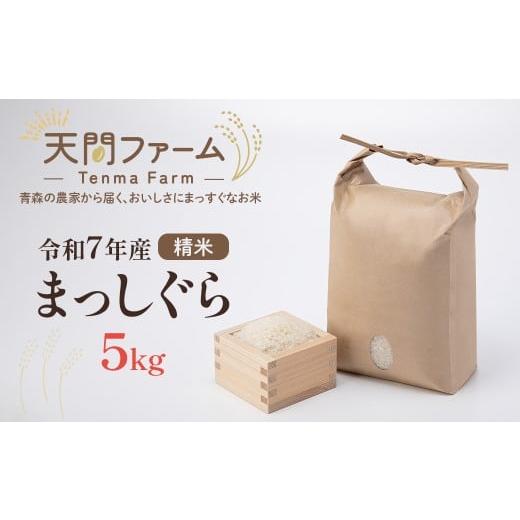 ふるさと納税 米 青森県 七戸町 令和7年産 まっしぐら精米 5kg