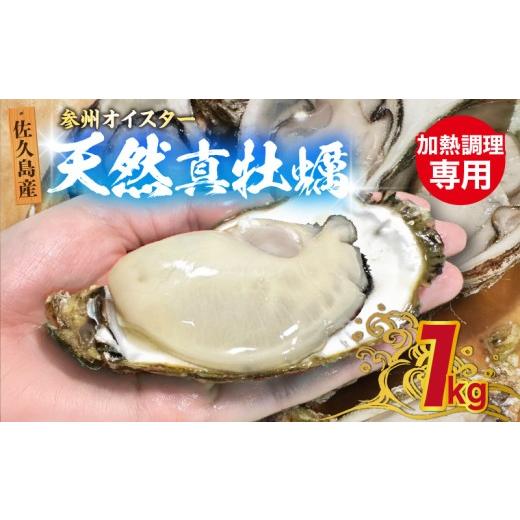 ふるさと納税 牡蠣 生牡蠣 愛知県 西尾市 佐久島産天然真牡蠣 参州オイスター 1kg・E029 1kg(寄附金額 13,000円)
