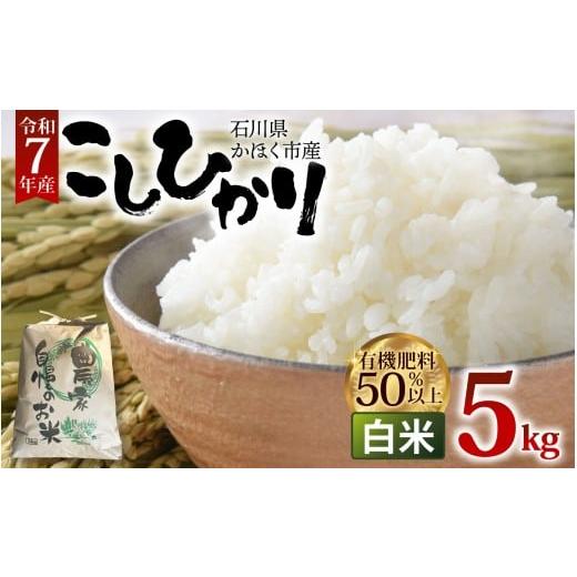 ふるさと納税 米 コシヒカリ 石川県 かほく市 令和7年産 コシヒカリ 白米 5kg 5kg 寄附額:16,000円