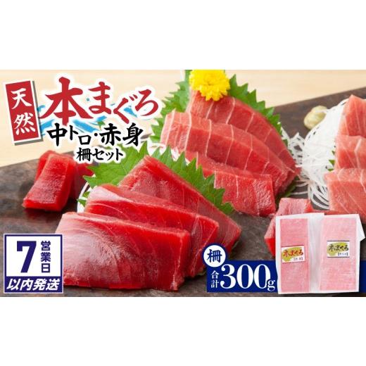 ふるさと納税 マグロ 神奈川県 三浦市 7営業日以内に発送 神奈川県漁連 天然本マグロ 中トロ・赤身セット M077-012-03-sp 入金確認後、7営業日以内に発送予…