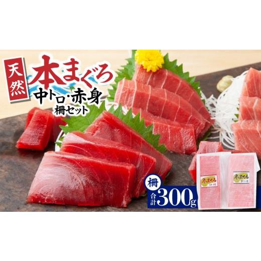 ふるさと納税 マグロ 神奈川県 三浦市 神奈川県漁連 天然本マグロ 中トロ・赤身セット 5月お届け M077-012-03-05 5月お届け