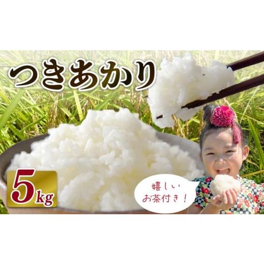 ふるさと納税 米 静岡県 牧之原市 2026年10月発送 米 つきあかり 5 kg お米 白米 白米 精米 ご飯 白 ごはん おいしい お茶 1袋 緑茶 玄米茶 やぶきた ティー…