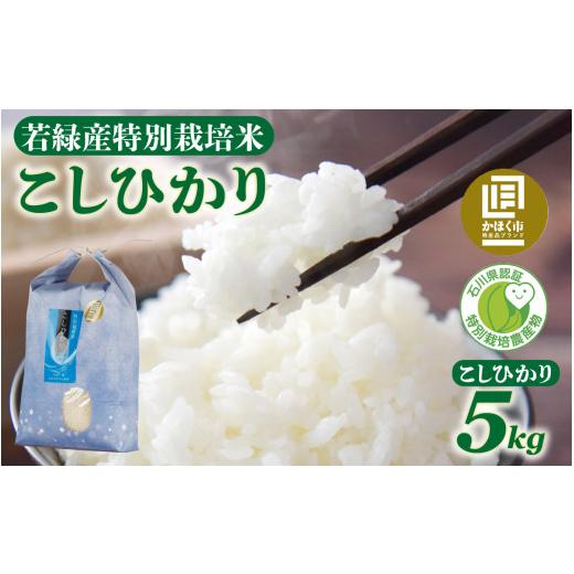 ふるさと納税 米 コシヒカリ 石川県 かほく市 若緑産 特別栽培米「こしひかり」5kg | 令和7年産 米 単一原料米 コシヒカリ 国産 こめ コメ 白米 食品 常温 ご…