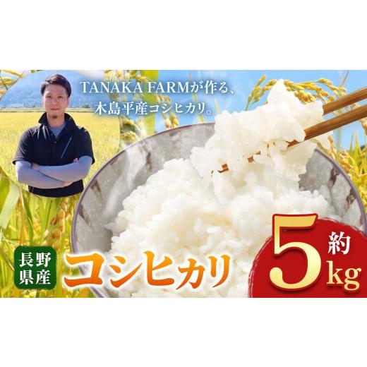 ふるさと納税 米 コシヒカリ 長野県 木島平村 木島平産 こしひかり 5kg | 米 こしひかり コシヒカリ 定番 品種 特別栽培 寒暖差 木島平村 長野県 信州 コシヒ…