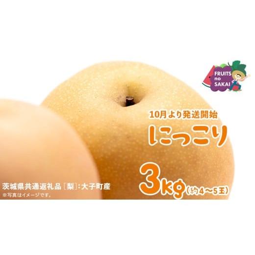 ふるさと納税 梨 茨城県 つくばみらい市 にっこり 梨 3kg (4〜5玉) 2026年10月より発送開始 (茨城県共通返礼品 梨 :大子町産) なし 旬 お取り寄せ フルー…
