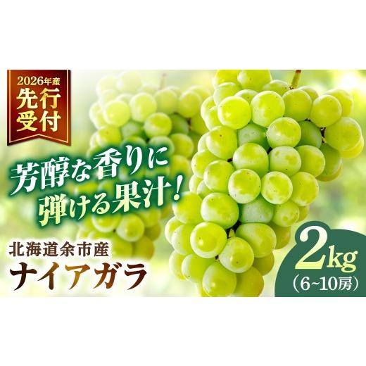 ふるさと納税 ぶどう マスカット 北海道 余市町 2026年産 先行予約 北海道余市産 ご家庭用 ナイアガラ 2kg(6〜10房)