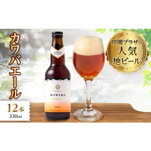 ふるさと納税 ビール 地ビール 群馬県 川場村 カワバエール 12本セット 1446340 カワバエール 12本セット