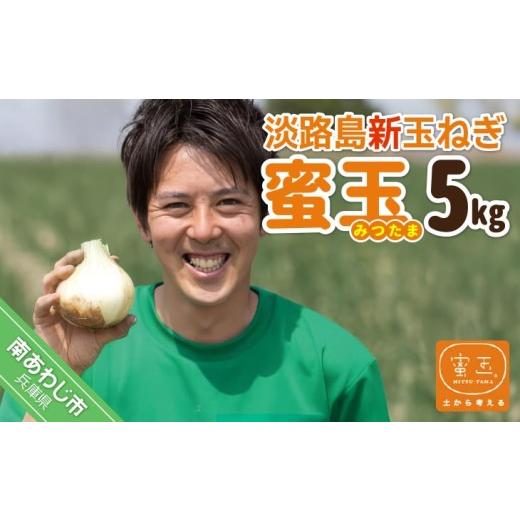 ふるさと納税 野菜類 玉ねぎ 兵庫県 南あわじ市 淡路島新玉ねぎ「蜜玉」５kg（有機肥料100%）の画像