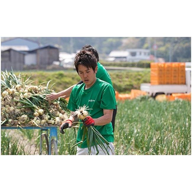 ふるさと納税 野菜類 玉ねぎ 兵庫県 南あわじ市 淡路島新玉ねぎ「蜜玉」５kg（有機肥料100%）の画像