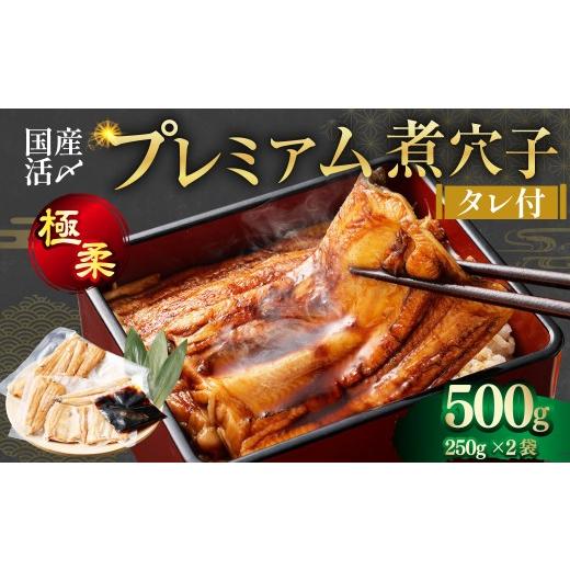 ふるさと納税 魚貝類 穴子 三重県 桑名市 飯田商店 国産活〆 プレミアム 煮穴子 500g( 250g×2袋 ) タレ(50g)付 魚介 魚介類 鮮魚 海鮮 魚 お魚 煮込み あ…