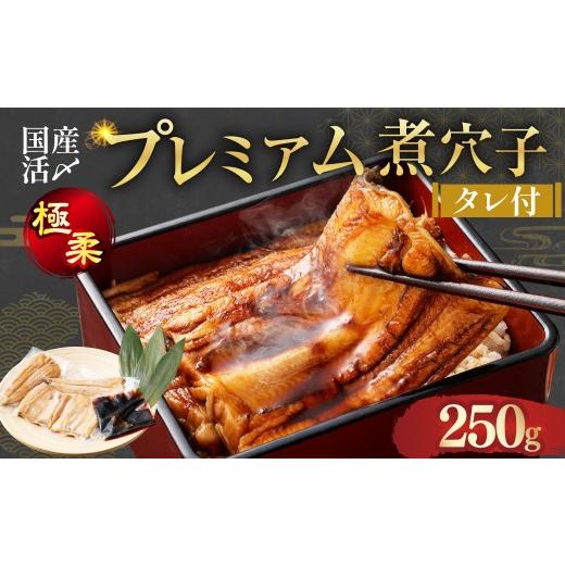 ふるさと納税 魚貝類 穴子 三重県 桑名市 飯田商店 国産活〆 プレミアム 煮穴子 250g( 250g×1袋 ) タレ付 魚介 魚介類 鮮魚 海鮮 魚 お魚 煮込み あなご 穴…