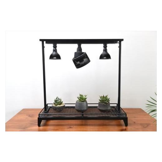 ふるさと納税 家具 本棚・ラック・カラーボックス 兵庫県 丹波市 ライティングレール付き植物棚 |ボタニカルラック W standard