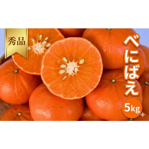 ふるさと納税 果物類 みかん 和歌山県 田辺市 2027年分先行予約 べにばえ 5kg 2027年1月上旬〜順次発送予定 期間限定・数量限定 / みかん 蜜柑 5キロ 紅映 …