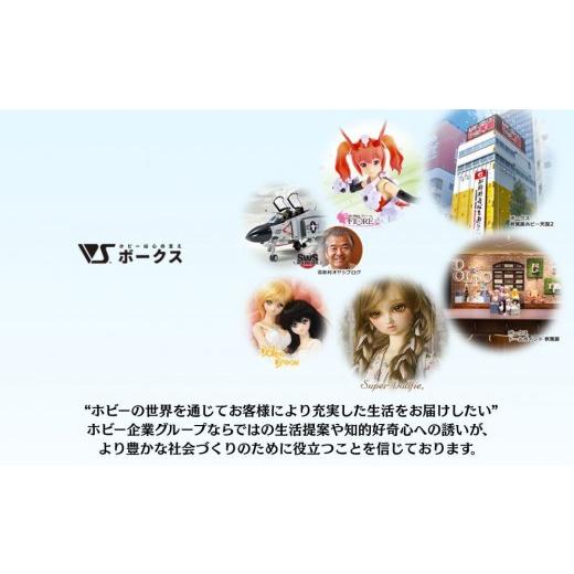 ふるさと納税 キャラクター・ぬいぐるみ 京都府 京都市 ボークス SWS No.12 1／32 ドルニエ Do 335 A-12｜京都 人気ホビーショップ プラモデル 戦闘機 SWS プ…_8