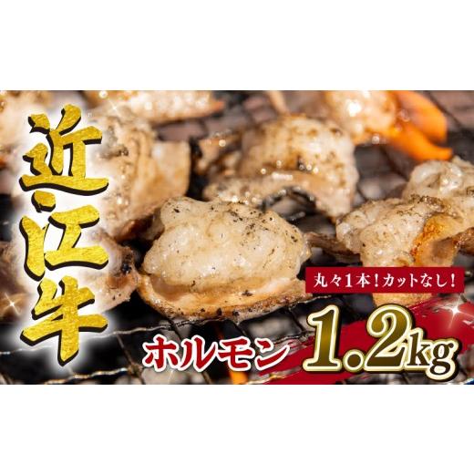 ふるさと納税 牛肉 ホルモン 滋賀県 竜王町 近江牛 ホルモン 1.2kg カットなし 冷凍 黒毛和牛 ( ブランド 小腸 ホソ コテッチャン 丸ごと ヒモ 肉 業務用 小分…