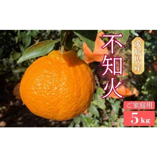 ふるさと納税 みかん・柑橘類 愛媛県 伊予市 2027年先行予約 不知火 5kg ご家庭用 農園直送 先行予約 2027年4月発送 愛媛 数量限定 愛媛県産 人気 柑橘 伊予…