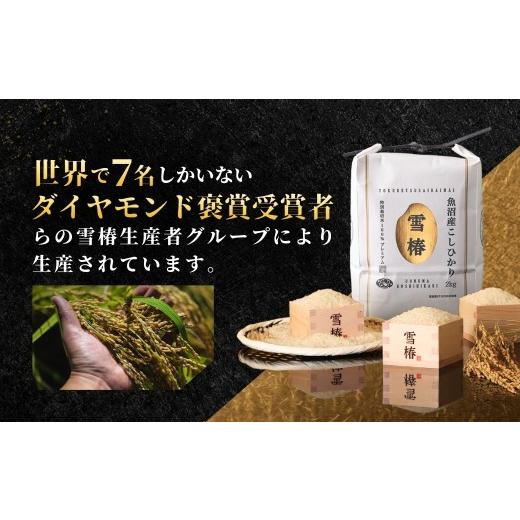 ふるさと納税 米 コシヒカリ 新潟県 津南町  寄付額見直し 定期便 3ヶ月 令和7年産 魚沼産コシヒカリ 雪椿 5kg(5kg×1袋) × 3回 特別栽培米 | 米 お米 新潟 …の画像