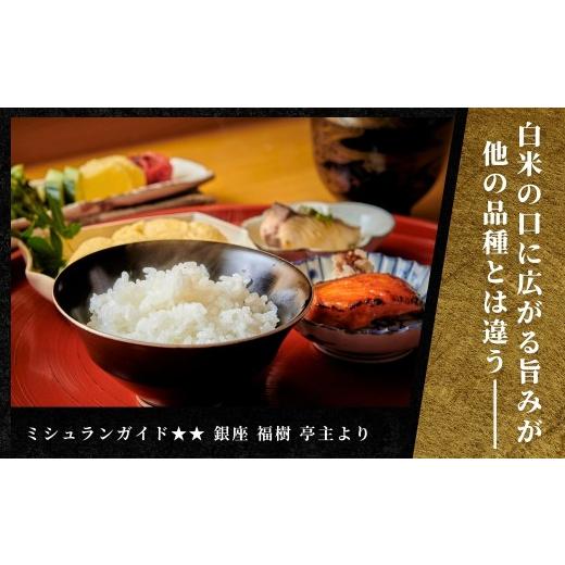 ふるさと納税 米 コシヒカリ 新潟県 津南町  寄付額見直し 定期便 3ヶ月 令和7年産 魚沼産コシヒカリ 雪椿 5kg(5kg×1袋) × 3回 特別栽培米 | 米 お米 新潟 …の画像
