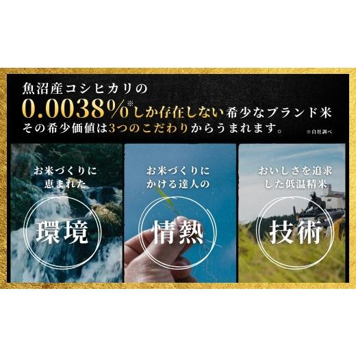 ふるさと納税 米 コシヒカリ 新潟県 津南町  寄付額見直し 定期便 3ヶ月 令和7年産 魚沼産コシヒカリ 雪椿 5kg(5kg×1袋) × 3回 特別栽培米 | 米 お米 新潟 …の画像