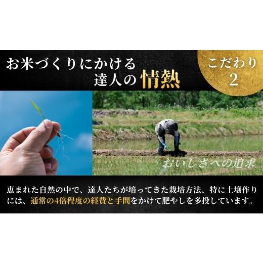 ふるさと納税 米 コシヒカリ 新潟県 津南町  寄付額見直し 定期便 3ヶ月 令和7年産 魚沼産コシヒカリ 雪椿 5kg(5kg×1袋) × 3回 特別栽培米 | 米 お米 新潟 …の画像