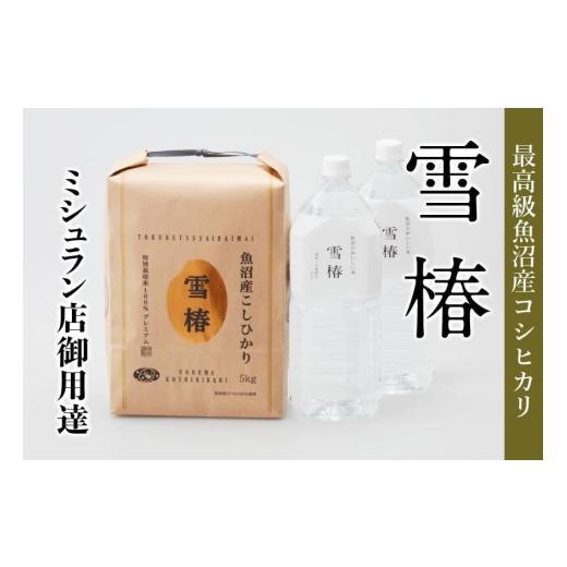 ふるさと納税 米 コシヒカリ 新潟県 津南町 至高の魚沼セット 魚沼産コシヒカリ 雪椿 5kg + 魚沼の天然水 雪椿 4L ( 2L× 2本 ) | 米 お米 新潟 魚沼 魚沼産…