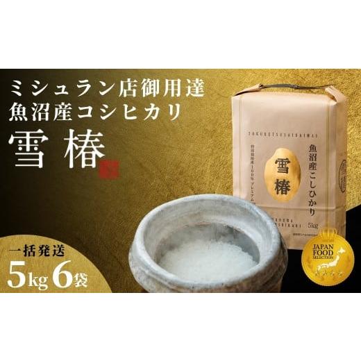 ふるさと納税 米 コシヒカリ 新潟県 津南町 令和7年産 魚沼産コシヒカリ 雪椿 30kg(5kg×6袋) 特別栽培米 一括発送 | 米 お米 新潟 魚沼 魚沼産こしひかり コ…
