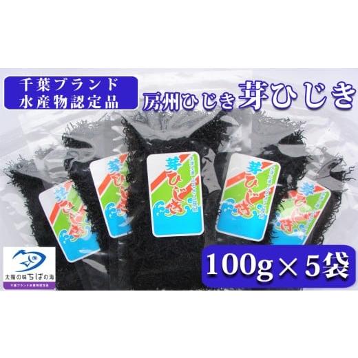 ふるさと納税 のり・海藻 千葉県 鴨川市 中野健太郎商店 房州ひじき 芽ひじき 100g×5袋