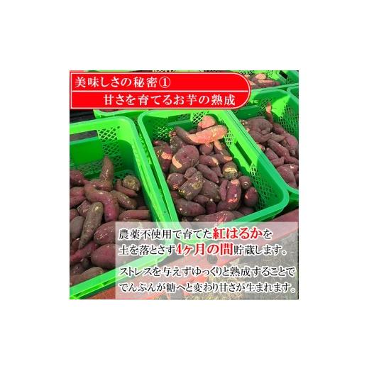 ふるさと納税 野菜類 サツマイモ 千葉県 鴨川市  Tファーム 蜜たっぷり 旨み極めた熟成壺焼き芋 1.5kg 0015-0070の画像
