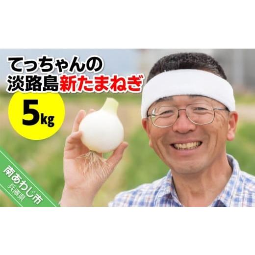 ふるさと納税 野菜類 玉ねぎ 兵庫県 南あわじ市 てっちゃんの淡路島新たまねぎ5kg/メディアに引っ張りだこの農家さんが育てたあまーい「たまねぎ」