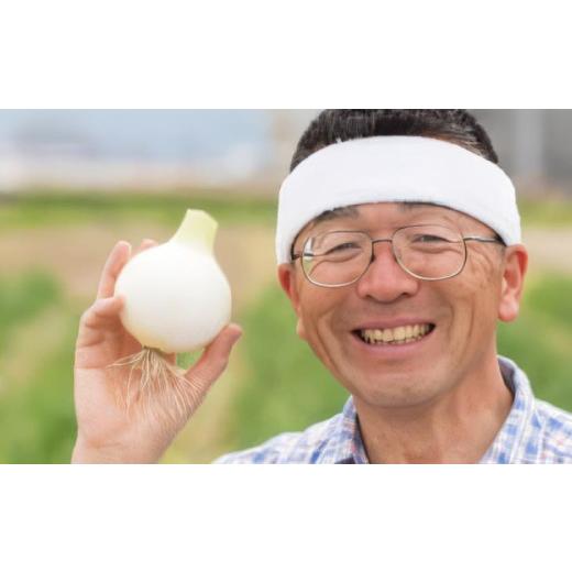 ふるさと納税 野菜類 玉ねぎ 兵庫県 南あわじ市 てっちゃんの淡路島新たまねぎ５kg／メディアに引っ張りだこの農家さんが育てたあまーい「たまねぎ」の画像