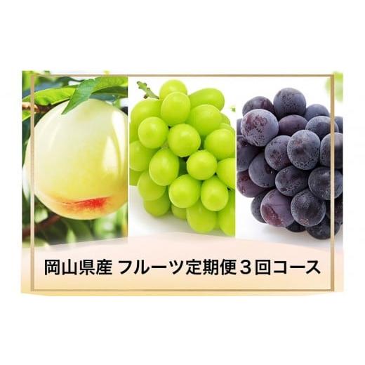 ふるさと納税 もも 岡山県 岡山市 岡山県産 フルーツ定期便全3回 お一人様向け