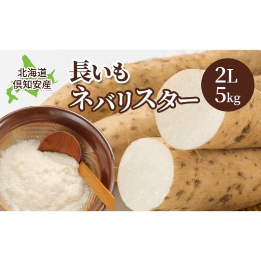 ふるさと納税 人参・大根・他根菜 北海道 倶知安町 2026年 出荷 北海道 ?知安町産 ネバリスター 計5kg 北海道産 芋 ながいも 長芋 とろろ 新鮮 フレッシュ 野…