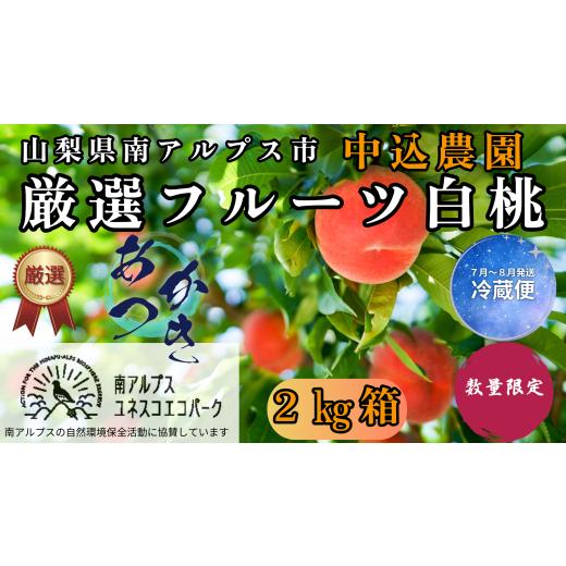 ふるさと納税 もも 山梨県 南アルプス市 2026年発送先行予約 山梨県南アルプス市産 厳選桃 (あかつき) 2kg AL