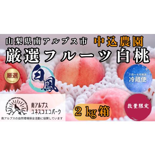 ふるさと納税 もも 山梨県 南アルプス市 2026年発送先行予約 山梨県南アルプス市産 厳選桃 (白鳳) 2kg AL