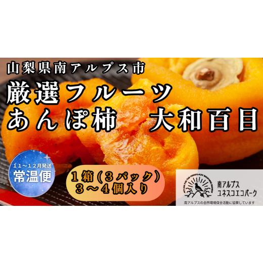 ふるさと納税 果物類 柿 山梨県 南アルプス市 2026年発送先行予約 山梨県南アルプス市産 厳選あんぽ柿 (大和百目) 3パック (3〜4個入り) AL