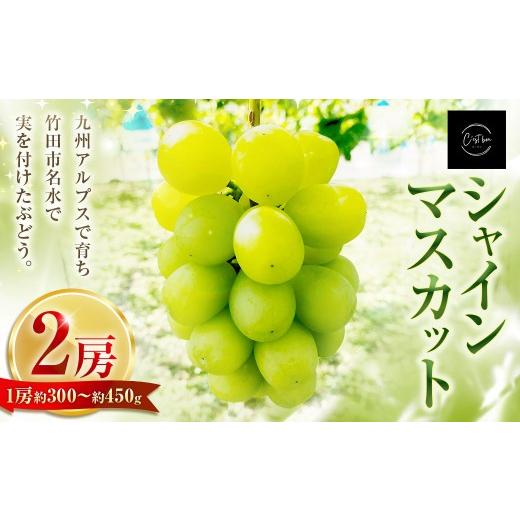 ふるさと納税 ぶどう マスカット 大分県 竹田市 九州アルプスで育ち竹田市名水で実を付けた シャインマスカット 2房 ( 約300 〜 約450g × 2房 ) 2026年9月…