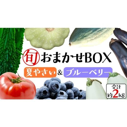 ふるさと納税 果物類 茨城県 桜川市 夏野菜 と ブルーベリー の おまかせBOX 計 約2kg | 野菜 果実 果物 おまかせ 旬 新鮮 大容量 くだもの フルーツ おやつ …