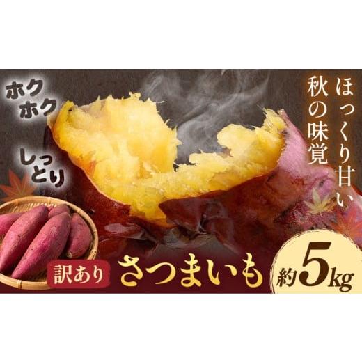 ふるさと納税 野菜類 サツマイモ 熊本県 菊池市 先行予約 訳あり さつまいも 約5kg 日本フルーツ株式会社[2026年10月上旬-11月中旬頃出荷]熊本県 菊池市 さ…